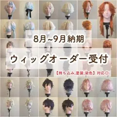 2026年最新】ウィッグ制作依頼の人気アイテム - メルカリ