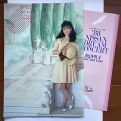 1988 NISSAN DREAM CONCERT