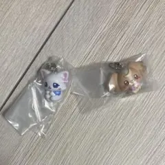 【セット売り】わんだふるプリキュア　めじるしアクセサリー　こむぎ　ゆき