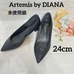 未使用級Artemis by DIANA チャンキーヒールプレーンパンプス黒24のサムネイル