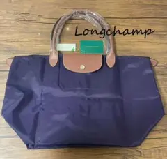 Item thumbnail for item 306ca596-80f3-438e-a222-545e836c35c4