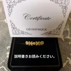2025年最新】Geodesiqueの人気アイテム - メルカリ
