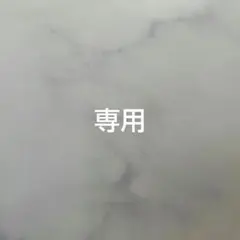 y.様専用　6/10迄購入予定