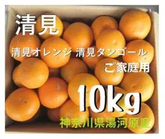as様専用　清見10kg 清見オレンジ 清見タンゴールご家庭用訳あり 湯河原産⑬