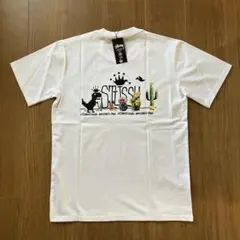Stüssy カラフルグラフィック Tシャツ
