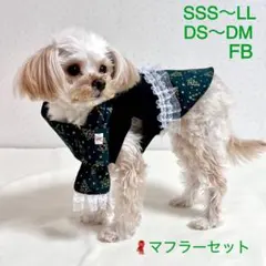 【犬服】クリスマス　2点セット　犬ワンピース　マフラー　グリーン　丸すそ