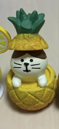 コンコンブル 猫　パイニャップルのサムネイル