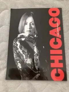米倉涼子直筆サインパンフレット NY CHICAGO 2012.7.15 2026年最新】米倉涼子 シカゴの人気アイテム - メルカリ