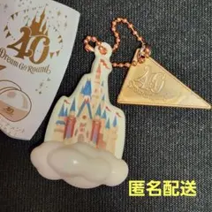 ディズニー ランド 40周年　カプセルトイ　ガチャガチャ