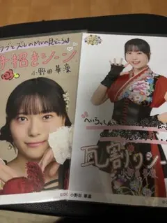 ロージークロニクル 小野田華凛 2l