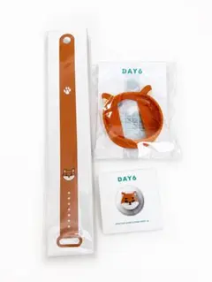 DAY6 DENIMALZ LIGHT BAND CUSTOM ウォンピルセット - メルカリ