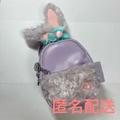 香港　ディズニー　ステラルー　リュック　ポーチ　コインケース