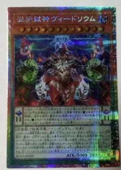 【アジア】遊戯王 混絶獄神ヴィードリウム プリズマ プリシク アジア版 3枚 遊戯王☆混絶獄神ヴィードリウム☆プリズマ/プリシク - メルカリ