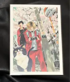 ハイキュー　黒尾鉄朗　孤爪研磨　ポストカード　ジャンプショップ　原作絵　音駒