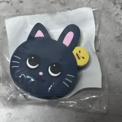 RIIZE ウォンビン　ラントイ　うちわアクセサリー