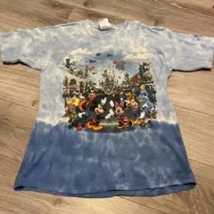 着画あり Disney マジックキングダム ヴィンテージ Tシャツ USA製】80s DISNEY マジックキングダム シンデレラ城 黒 Tシャツ