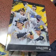 阪神タイガース 藤川球児 引退記念 クリアファイル - メルカリ