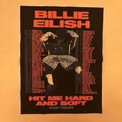 完売品】Billie Eilish 2025年ツアーポスター リサイクル布製 - メルカリ