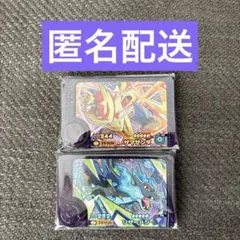 ポケモンフレンダ　ST ザマゼンタ　リザードン　2枚セット