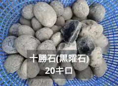 30キロ 十勝石 天然オブシディアン 黒曜石 原石 サイズバラバラ詰め合わせ 30キロ 十勝石 天然オブシディアン 黒曜石 原石 サイズバラバラ