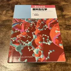 Item thumbnail for item 87a72c51-1667-45c6-b608-5331e26e824a