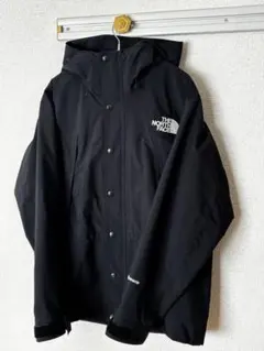 Item thumbnail for item 10b67fb1-5a55-48c9-a66e-6a823f41077c