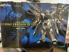 2026年最新】pg ストライクフリーダム ガンダムの人気アイテム - メルカリ