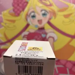 アイカツ！アニメイト限定チャイナ 缶バッジ12種フルコンプ！【未