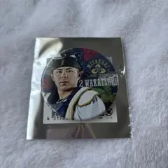 Item thumbnail for item ec593ebb-c9bb-4be6-8a4b-d97647074582