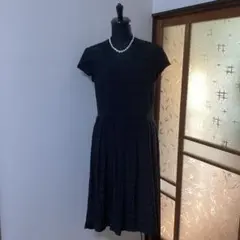 ワンピース anysis