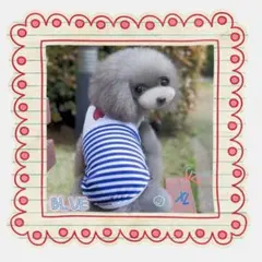 犬服 マリン セーラー風 タンクトップ ボーダー かわい ペットウェアXLサイズ