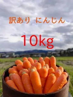徳島県産　訳ありにんじん10kg　農薬不使用　京子さま専用