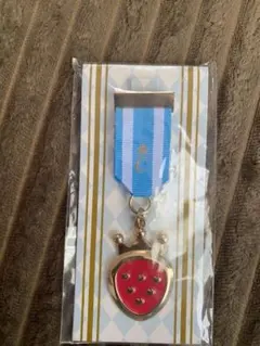 すとぷり 2020 Summer すとぷり 勲章ブローチ ころん