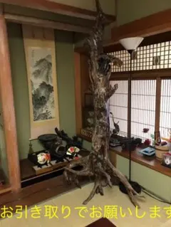 2025年最新】猿の腰掛けの人気アイテム - メルカリ