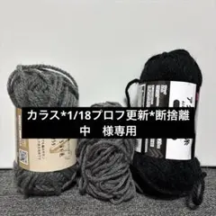 カラス*1/18プロフ更新*断捨離中　様専用ページ