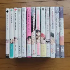 BL漫画13冊まとめ売り①