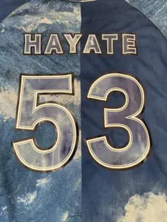 Item thumbnail for item a14ef731-47f3-497e-89b8-2df5500d2f66