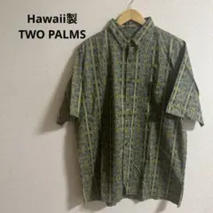 USA製 TWO PALMS アロハシャツ champion GAP hanesのサムネイル