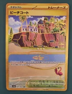 ビーチコート UR SV3a レイジングサーフ 091/062