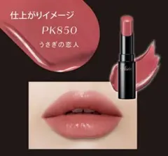 Visee ネンマクフェイクルージュPK 850