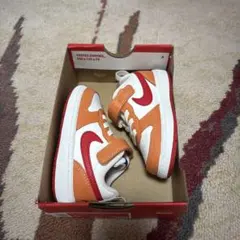 Nike Court Borough Low 2 (TDV) 6C 子供靴