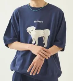 BEAUTY&YOUTH ドッグプリント スウェットハーフスリーブ