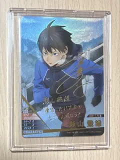 影山飛雄 バボカ サイン入り まとめ売り 影山飛雄 バボカ サイン入り まとめ売り Amazon.co.jp