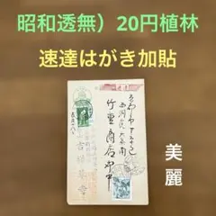 Item thumbnail for item 0af2052c-fefa-44b5-884b-d36edbf4bc5c