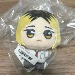 未開封品　ハイキュー!! ちびぐるみ なつふく!! 孤爪研磨