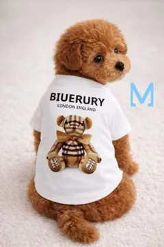 Item thumbnail for item a7aead7c-27d8-4d5c-a466-7777dde1b72e