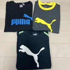 プーマTシャツ160 3枚セット