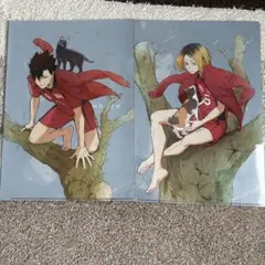ハイキュー‼︎音駒クリアファイル