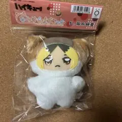 ハイキュー ちみけもますこっと 孤爪研磨 黒尾鉄朗 Amazon.co.jp: ハイキュー ちみけもますこっと 孤爪 研磨 黒尾