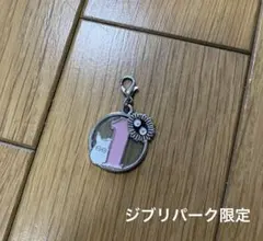 ジブリパーク限定／トトロ　誕生日チャーム『1日生まれ』キーホルダーのサムネイル